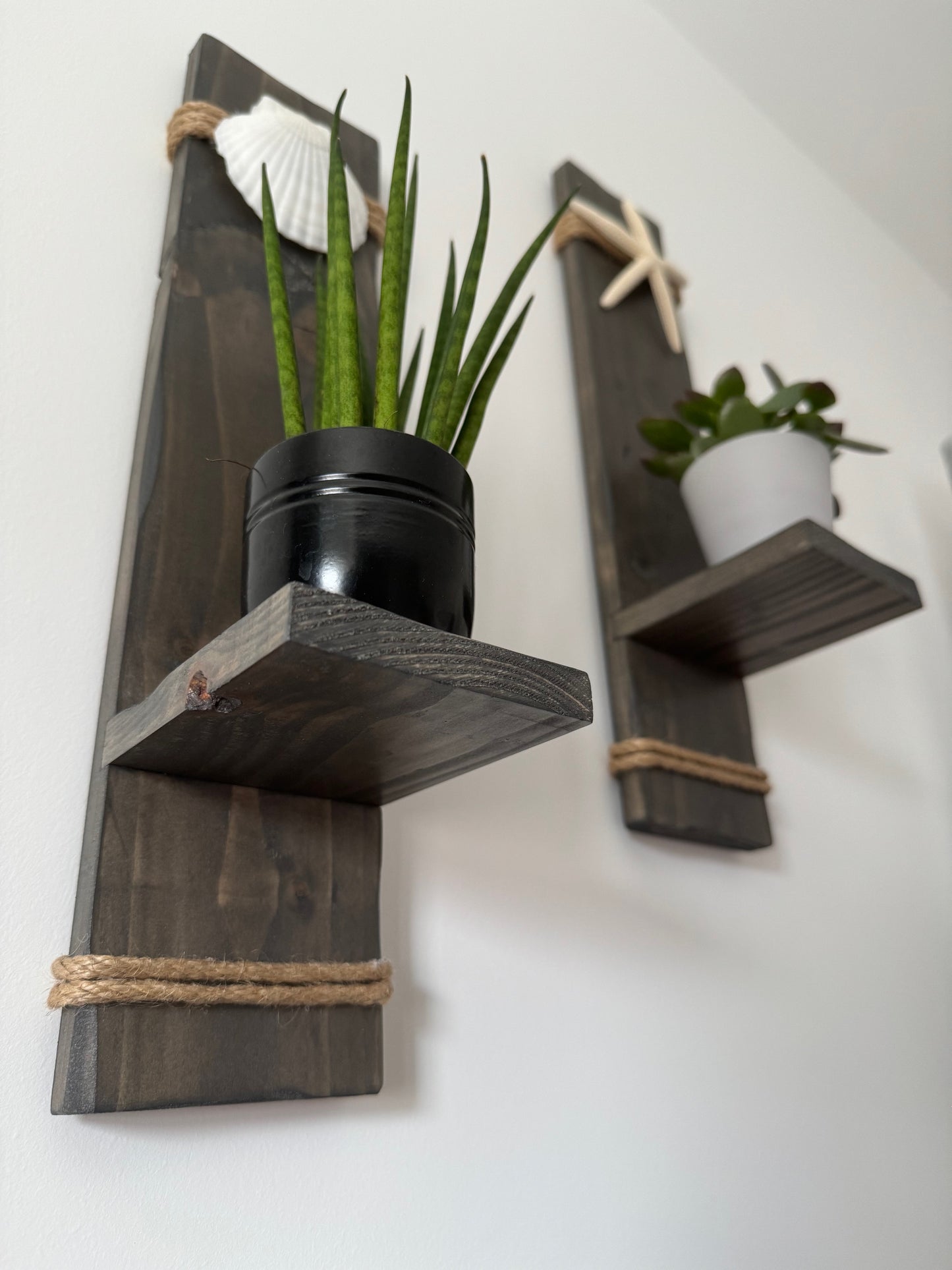 Wooden Sconces with Starfish and Scallop Shell