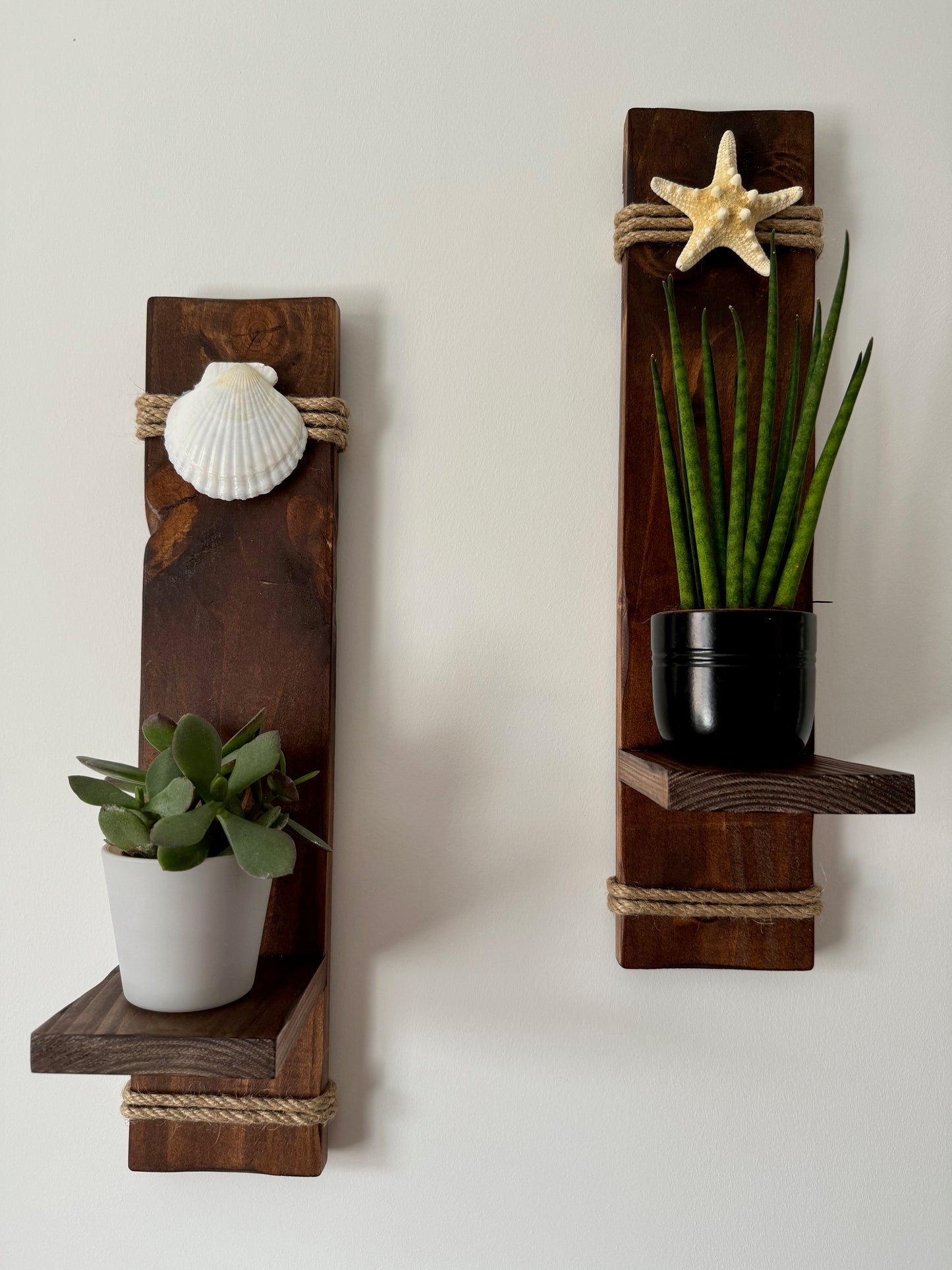 Wooden Sconces with Starfish and Scallop Shell