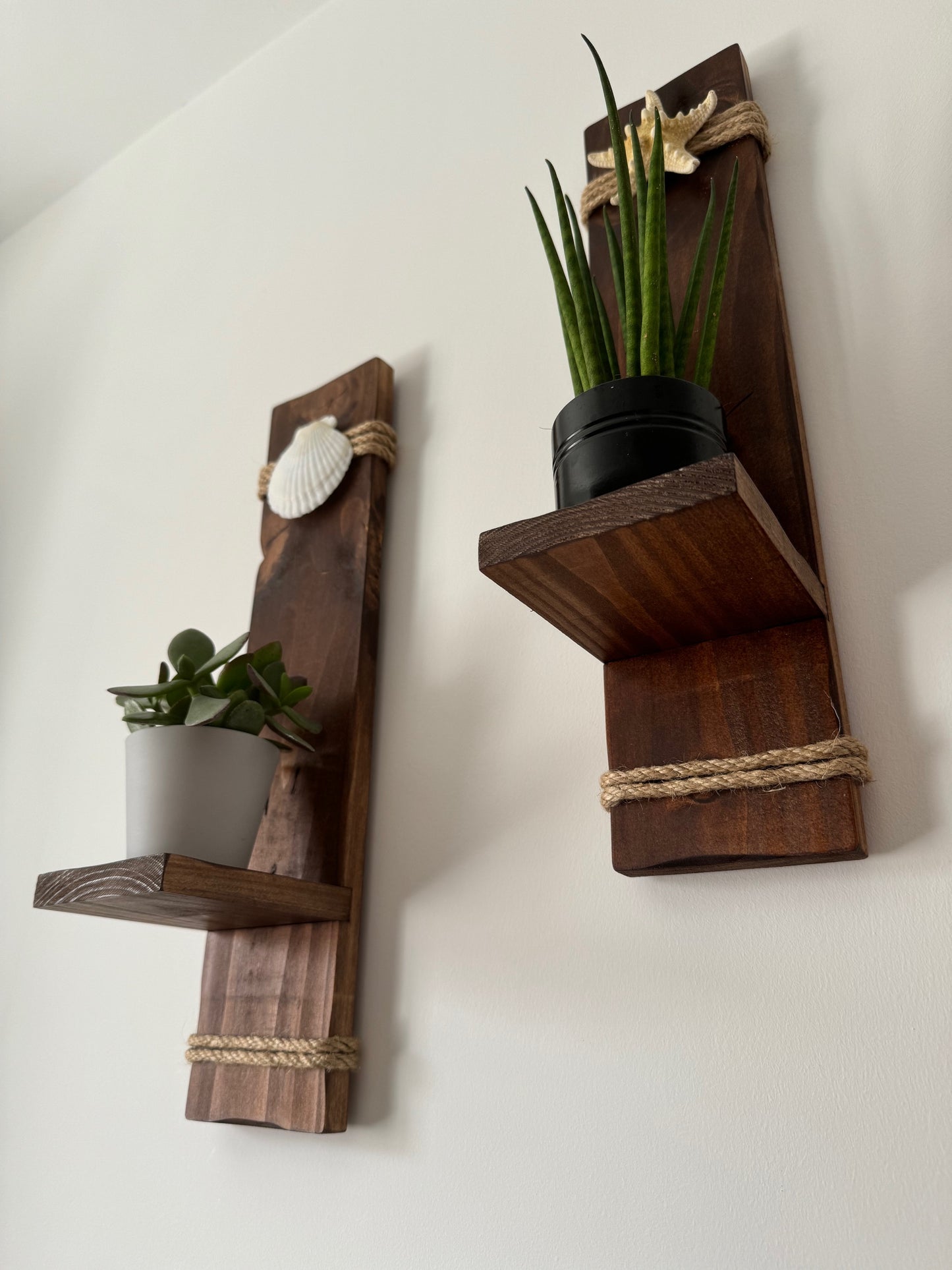 Wooden Sconces with Starfish and Scallop Shell
